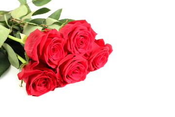 A bouquet of red roses is on a white background.	