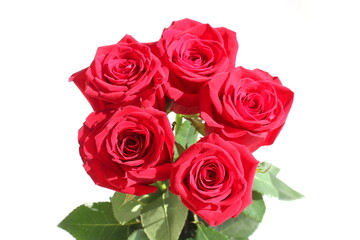 A bouquet of red roses is on a white background.	