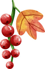 watercolor berry clip art