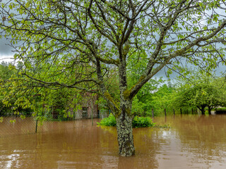 Obraz premium Überfluteter Garten