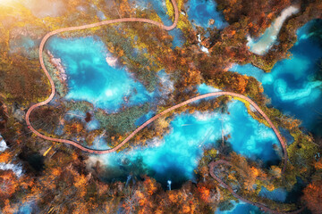 Aerial view of blue lakes in red autumn forest at sunrise. Morning in Plitvice Lakes park, Croatia. Colorful landscape with azure water, trees, wooden trails and bridges, orange foliage. Top view