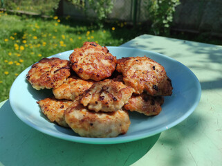 Homemade cutlets in a plate. Cutlets on a nature background. food and cooking. homemade food