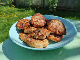 Homemade cutlets in a plate. Cutlets on a nature background. food and cooking. homemade food