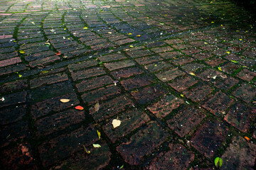 leaves on the ground, brick