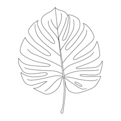 Monstera Leaf line art vector design. Monstera Leaf outline illustration design.