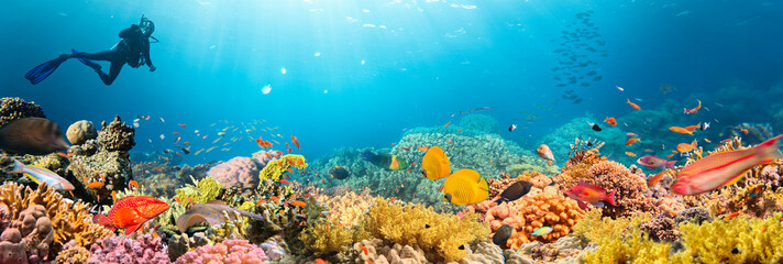 Scuba Diver Swimming in Deep Sea with Sunrays and Beautiful Coral Reef with Colorful Fishes