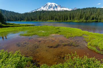 Mountt Rainier National Park near Seattle Washington USA. Iconic majestic PNW Pacific northwest landscape scene. Concepts of wonder, serenity, solitude, and tranquility. © Michael Carni