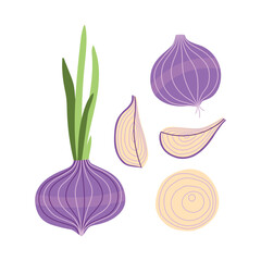 Trendy Hand Drawn onion vegetable Illustration isolated on white background. Modern Abstract Mediterranean Aesthetic. Vector Art for Home Decor, Dining Spaces