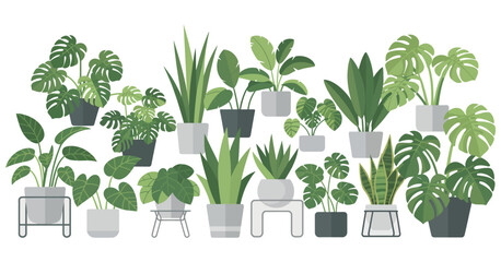 Collection of Potted Houseplants in Grey and White Pots on a White Background Vector Illustration for Interior Design © MOHAMMAD