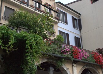 Balcone con fiori e rampicanti nel centro di Desenzano del Garda, catturato in una luminosa...