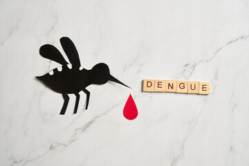 No mosquito, bite for World dengue day with Stop mosquito sign for prevention of virus
