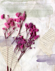 Collage journal page.