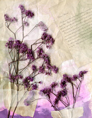 Collage journal page.