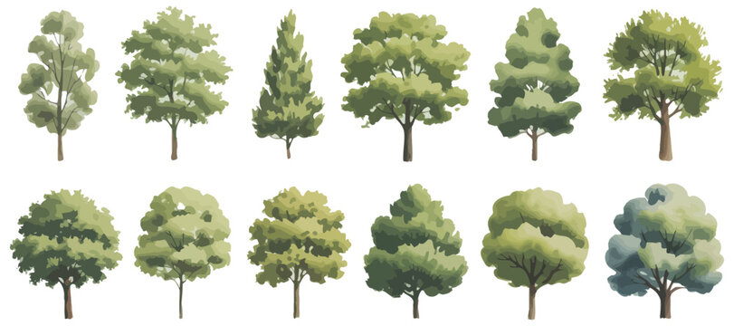 Collection of Various Tree Illustrations with Green Foliage Isolated on White Background Perfect for Landscape Design Architectural Renderings and Nature Themed Projects