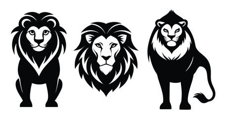 Set of lion, vector illustration
