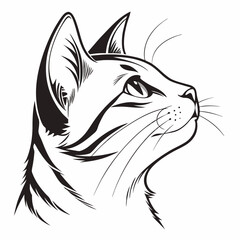 Cat vector