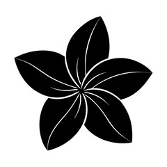 frangipani with fragrant petals silhouette vector art