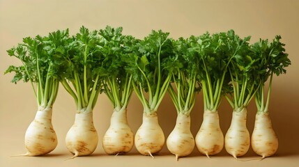 Freshly harvested parsnips with green tops arranged in a row, ready for cooking.
