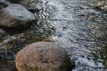 stones in water river sunset