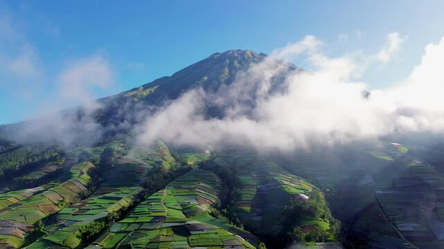 Vegetable fields and the peak of Mount Sumbing are partly covered by clouds in the morning, Dusun Butuh Kaliangkrik, Magelang, Central Java, Indonesia.