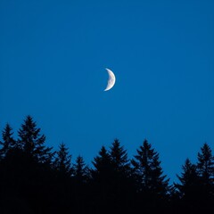 full moon over the sky