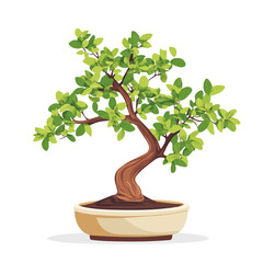 2D flat A Tamarind Bonsai illustration vector, isolated on a white background.