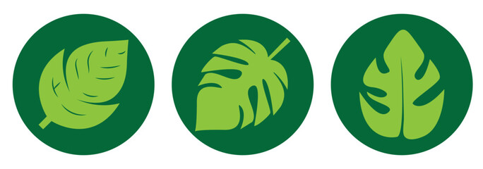 Green leaf icons set. Leaves icon on isolated background. Collection green leaf. Elements design for natural, eco, vegan, bio labels. Vector illustration EPS 10