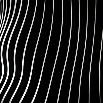 black and white striped background