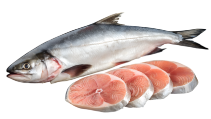 whole atlantic salmon fish and raw steaks - fresh seafood isolated on transparent background
