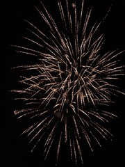 Golden fireworks burst against a pitch-black night sky in a radiant display of celebration.