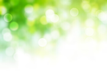 Blurred background : Green abstract of blur nature sunlight with white  free space for design Stock Photo