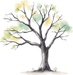 Obraz premium Sprawling tree with a lush crown.