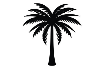 Fototapeta premium Isolated Black Silhouette of a Palm Tree with Broad Fronds on a White Background