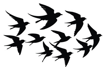 Silhouette of a Flock of Swallows Flying Against a White Background in a Group