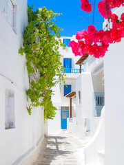 Mykonos summer vibes 