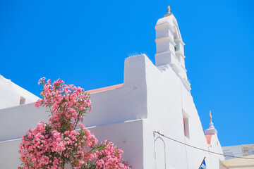 Mykonos summer vibes 