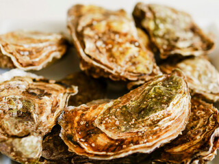 A pile of oysters with a salty taste. The oysters are brown shell and have a crispy texture. Fine sea product with unique delicate juicy taste. Wild or farmed origin from ocean.