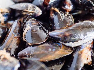 A white bowl filled with small black and orange mussels. The bowl is placed on a white countertop. Fine seafood product with delicate flavor and world wide production.