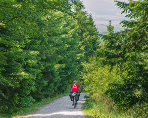 cycling in the forest