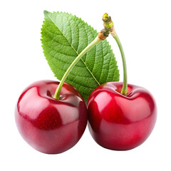 Fresh and juicy ripe cherries with green leaf isolated on a black background