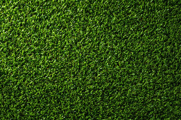 Obraz premium Artificial grass texture