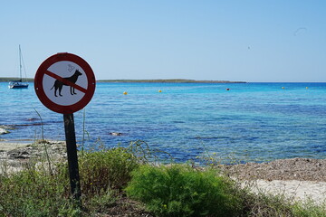 No dogs allowed on beach