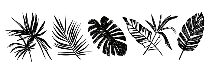 Set of six hand drawn black tropical palm and monstera leaves silhouettes with detailed grunge texture isolated on white background vector illustration