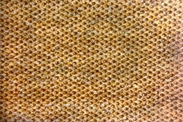 Microscopic view of wooden table surface, revealing a fascinating pattern of uniform circular pores in earthy tones.