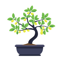 A Jujube Bonsai vector 2D flat illustration, isolated on a white background.