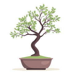 2D flat A Jujube Bonsai vector illustration, isolated on a white background.