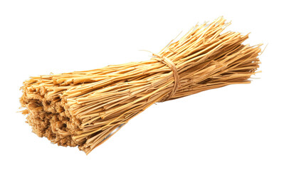 Harvesting dried reeds bundle rural area natural material bright environment close-up view cut out on transparent background