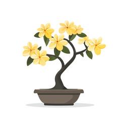 A Frangipani Bonsai 2D flat vector illustration, isolated on a white background.
