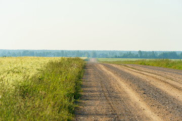 An empty dirt road runs through an agricultural field against a background of clouds. An empty road with no cars in summer.