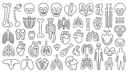 Hand drawn flower vector icons and doodle floral sketch collection